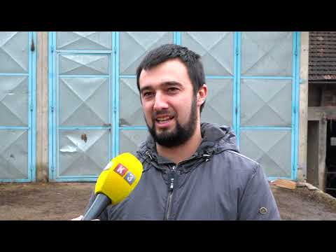 Prnjavor: Porodica Šajinović iz Crkvene 20.godina uzgaja krave i proizvodi mlijeko 19. 12. 2021.