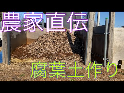 枯れ葉を集める: その理由と方法のすべて!  庭園
