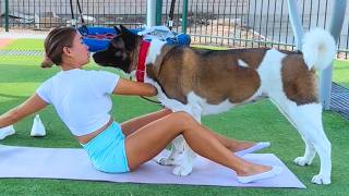 POV 😂 You Try to Workout… 🐶 But Your Dog Attacks You Instead