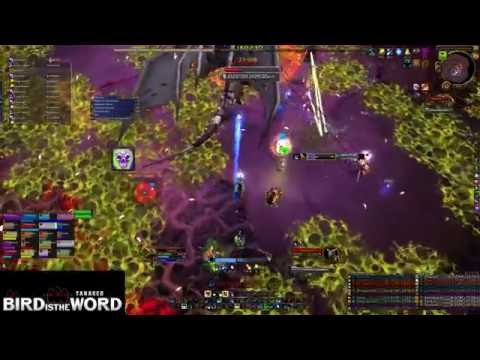 Bird is the Word vs Nythendra Mythic Boomkin PoV
