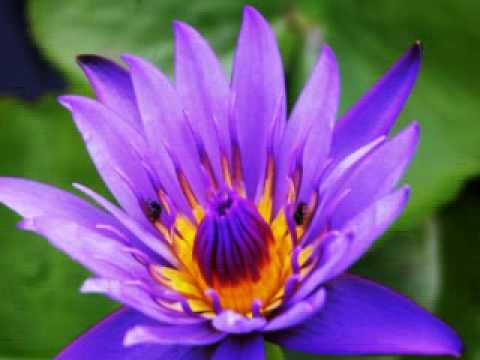 TJCNews Dear Jesus, in Whose Life I See