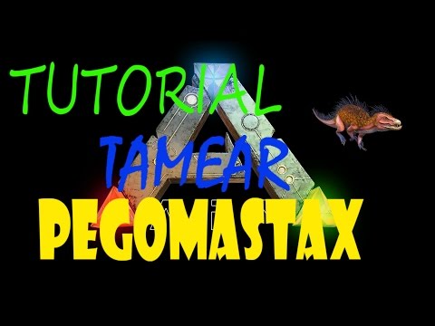 ARK SURVIVAL EVOLVED - TUTORIAL TAMEAR PEGOMASTAX
