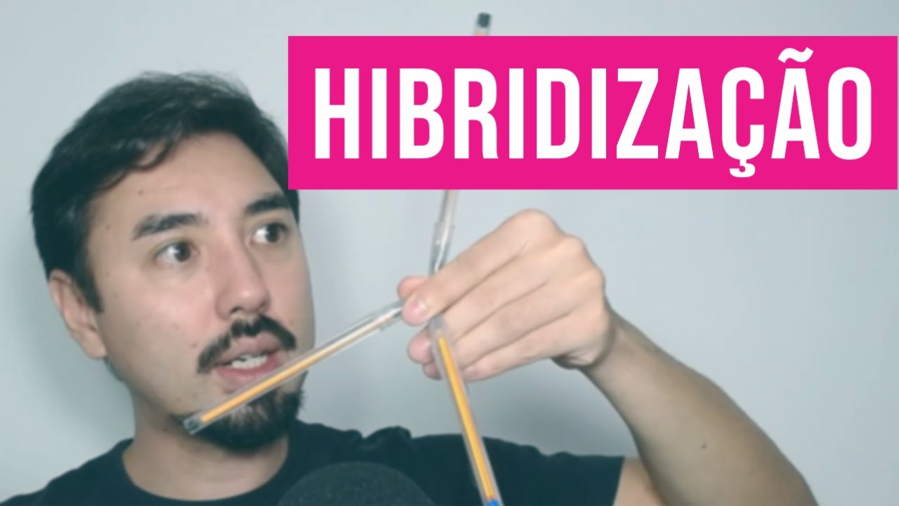 HIBRIDIZAÇÃO - Como Ocorre!