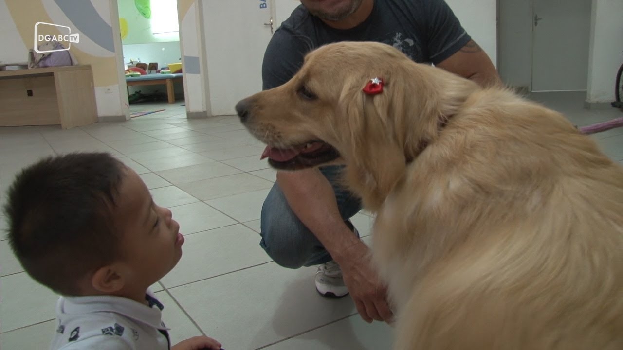 Projeto Cão Terapia visita crianças da Apae de São Bernardo 