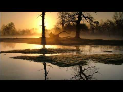 Sonsez - Reflections (Sebastian Garuti Remix)