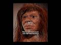 The only HYBRID human ever found #neanderthal #denisovan #earlyhumans
