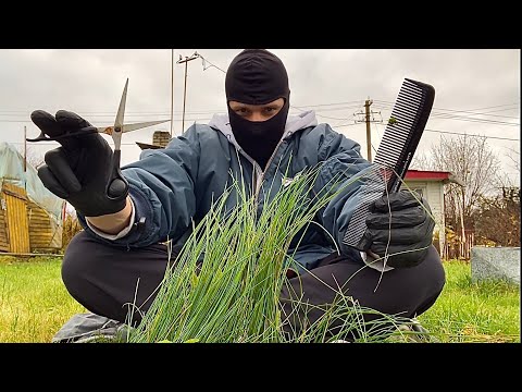ASMR | Cutting Grass with Scissors