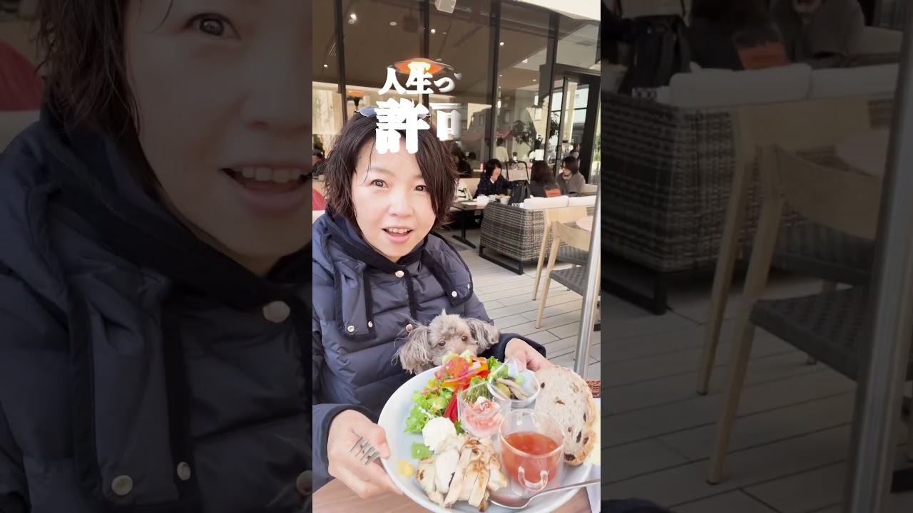 あなたはお金に愛されます #本音で生きる #潜在意識 #自分の使命