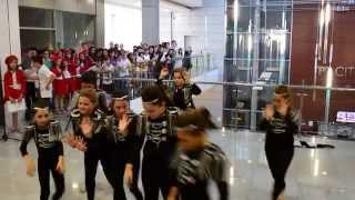 preview picture of video 'Royal Dance Indjija Deca'