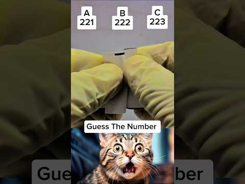 Guess The NUMBER 💯 221/222/223 #shorts #cat #bombastic