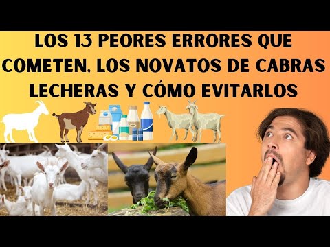 , title : '📢Los 13 peores errores que cometen los novatos de Cabras Lecheras y cómo evitarlos las mejores razas'