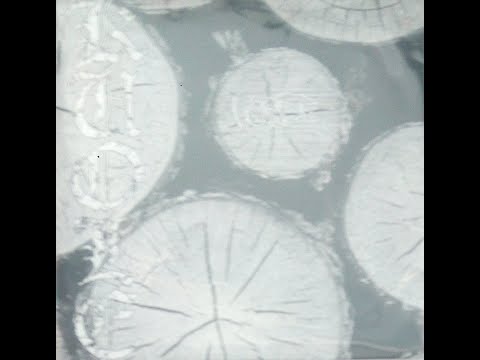 Vordr - Vordr 7"EP trilogy 2016