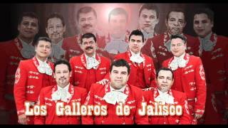 Video de Mariachi Los Galleros de Jalisco