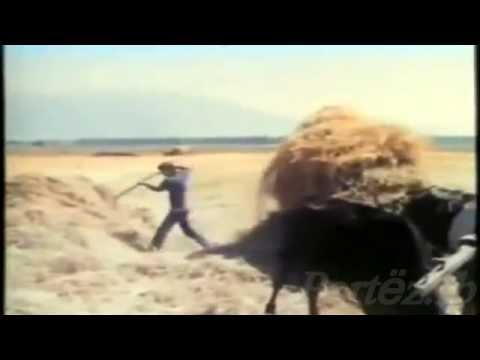 bujqesia vitet 80-90