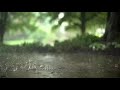 Amazing Rain In The Jungle WhatsApp Status Of Rain Slow Motion