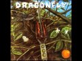 Dragonfly-Blue Monday