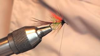 preview picture of video 'EMERALD DABBLER111'