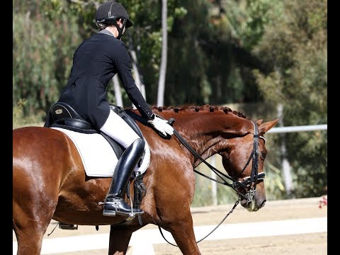 How to Analyze the Judges Comments and Ride the Prix St. George