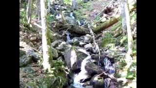 preview picture of video 'Wasserfall am Feldsee - Feldberg Schwarzwald'
