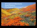 dEmergence & Beachparty - Sweet Harmony (The ...