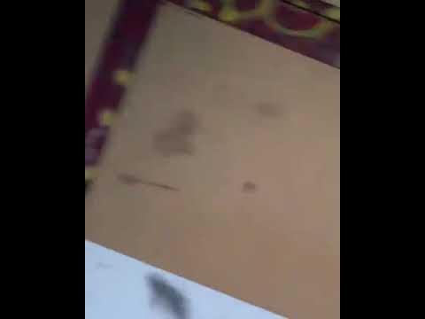 Ngee030 - 5 Jahre Haft im Kofferraum //  Instagramm Video