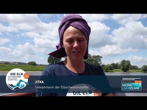 25.06.2017: Videotagebuch Elbschwimmstaffel Etappe 2