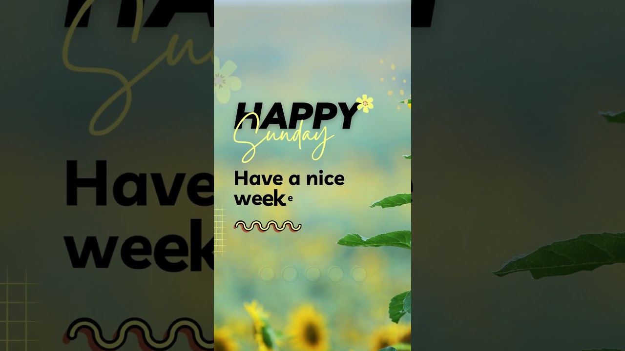 Happy Sunday Shorts Video [Free]