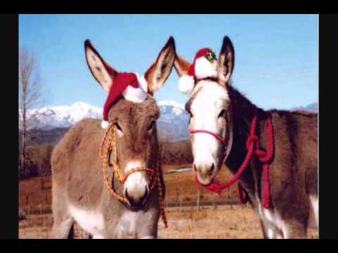 Mi Burrito Sabanero (Original) - YouTube.wmv