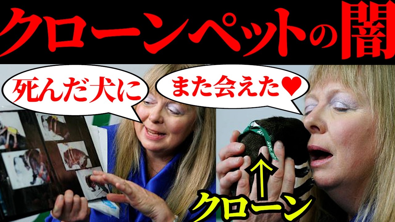 死んだペットに会いたいですか？