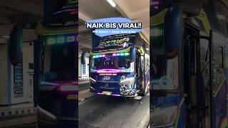 Download lagu Memories of the golden age of STJ Draka with Ms Teguh😆#lviral #bus #stj #draka #basuri #sudirotun... mp3