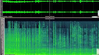 Jean Claude Eloy - Etats Limites / Borderlines [Excerpt] (2013)