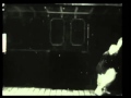 Follow the Night Rabbit PROMO 