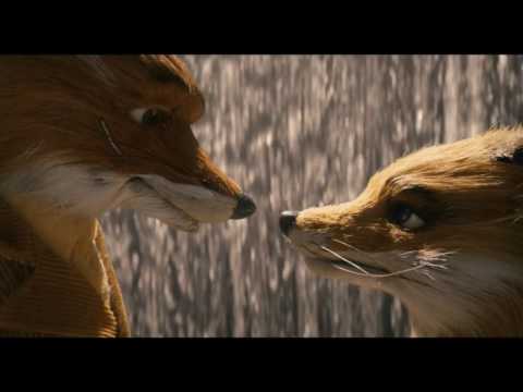 Fantastic Mr.Fox Waterfall Scene