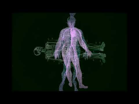 Institut de Radio Protection - Institutet / Kärnobyl