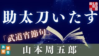 【木曜山本周五郎アワー】『武道宵節句』【作業・睡眠用朗読】時代小説　　読み手七味春五郎　　発行元丸竹書房