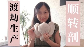 我非常疼痛的生產經歷｜順轉剖腹產