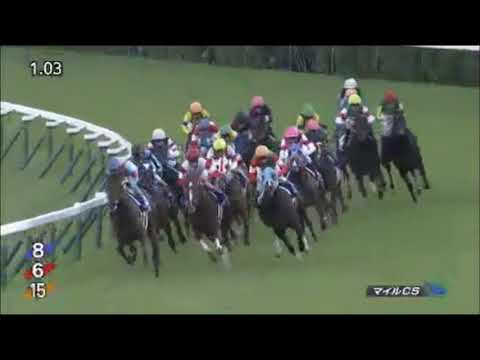 マイルチャンピオンシップ2017