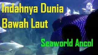 Download lagu Seaworld Ancol || Indahnya Dunia Bawah Laut || tempat wisata edukasi untuk anak mp3