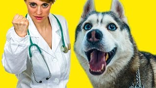 МЕНЯ УВЕЗЛИ В БОЛЬНИЦУ! (Хаски Бандит) Говорящая собака