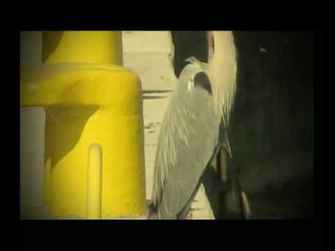 Terminal Morski LPG w Szczecinie