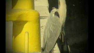 Terminal Morski LPG w Szczecinie