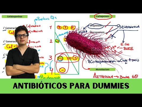 Antibióticos para DUMMIES
