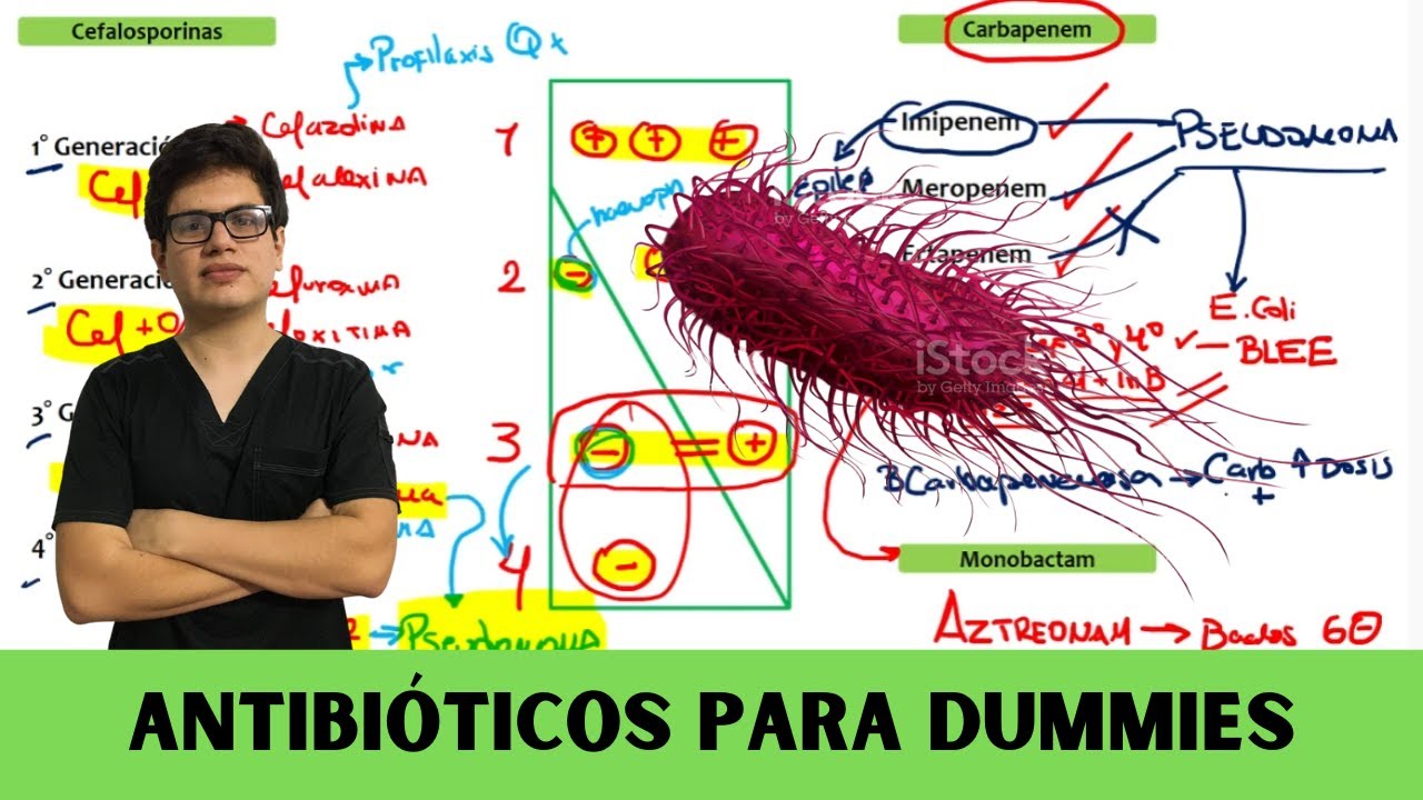 Antibióticos para DUMMIES