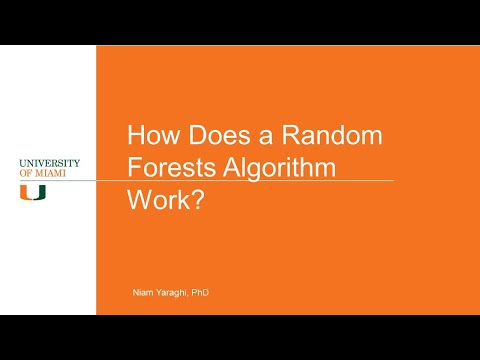 How Does a Random Forests Algorithm Work?