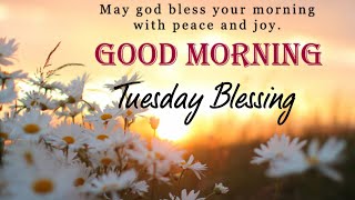 Tuesday Blessings, Good Morning, Tuesday Blessing Quotes, SMS, Whats app Status 💐⚘🌹