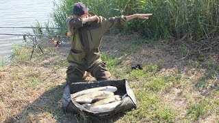 Ловля амура на дону в ростовской области