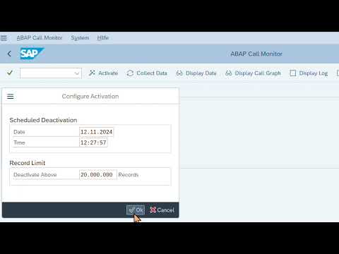 ABAP Call Monitor im SAP System aktivieren