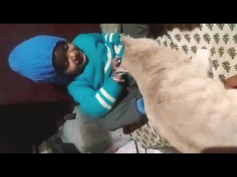 Baby with kitty cat || my 🐱 Meaww.!!