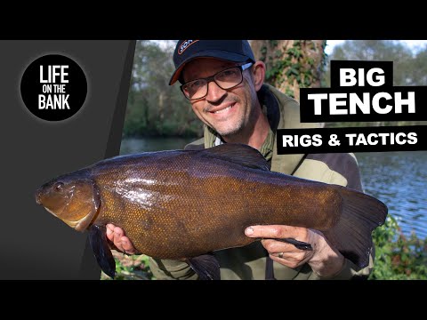 TENCH FISHING RIGS | NEW WATER TACTICS