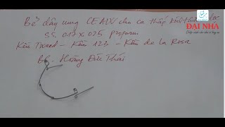 BẺ DÂY CUNG CEAW CHO CA THẤP KÍCH THƯỚC DỌC  -  BS.HOÀNG ĐỨC THÁI
